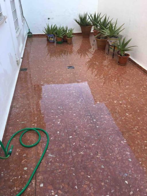Casa Soleada En Calle Tranquila Sevilla Exteriör bild