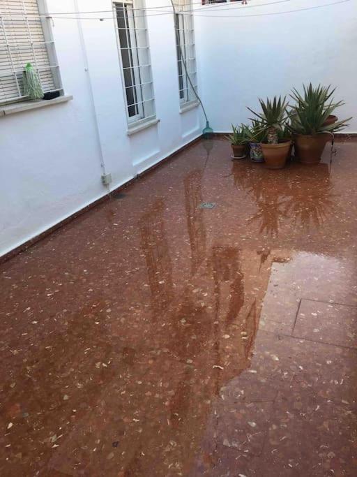 Casa Soleada En Calle Tranquila Sevilla Exteriör bild