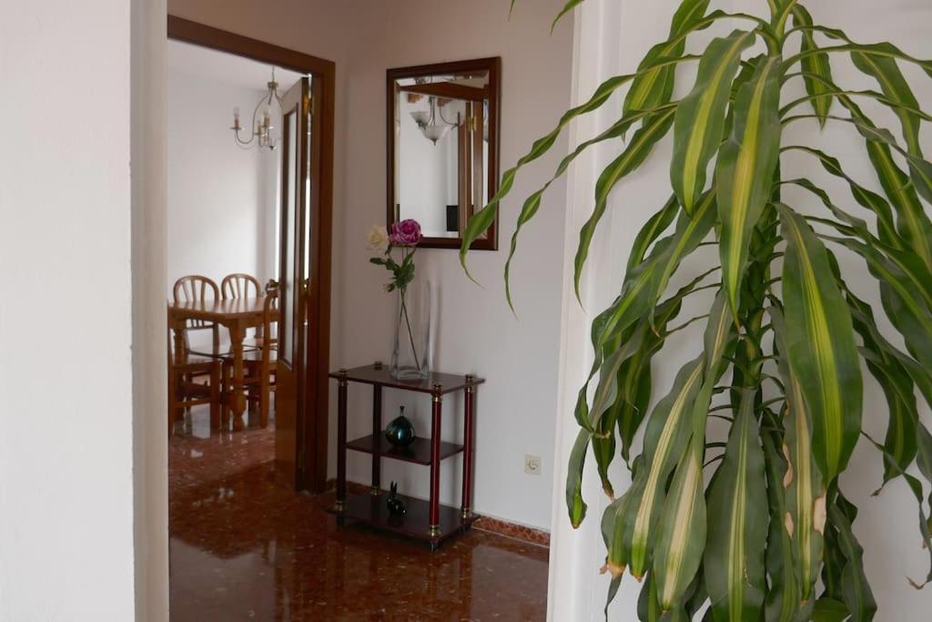 Casa Soleada En Calle Tranquila Sevilla Exteriör bild