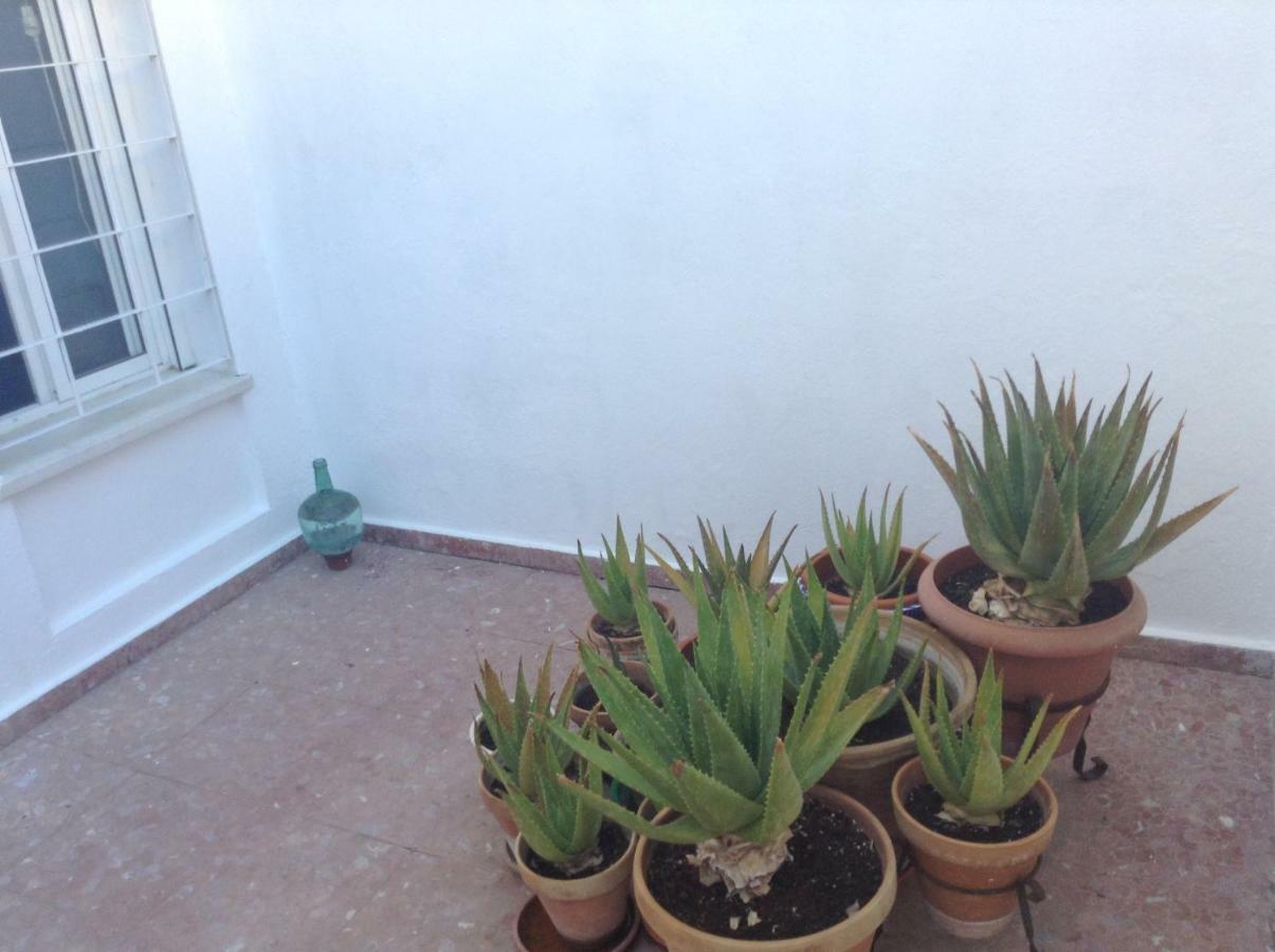 Casa Soleada En Calle Tranquila Sevilla Exteriör bild